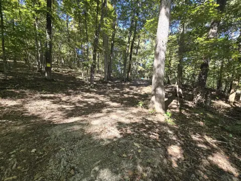 Hunting Land with Cabin