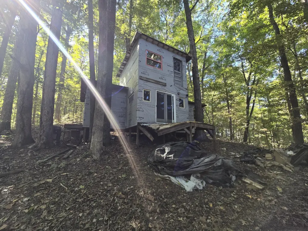 Picture 6