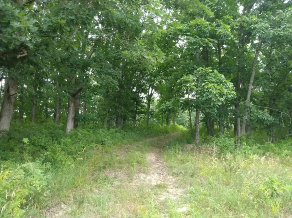Picture 22