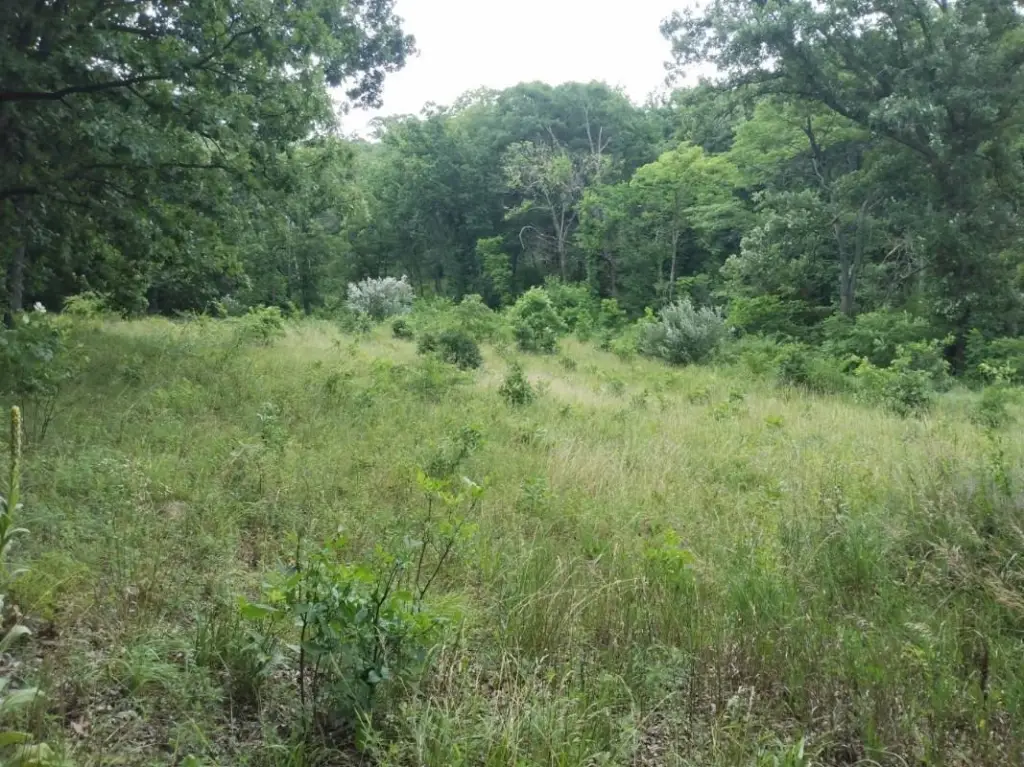 Picture 21