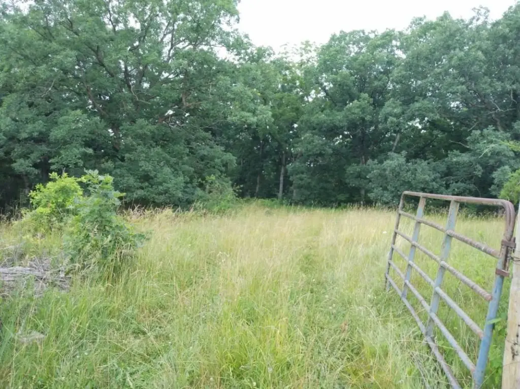 Picture 18