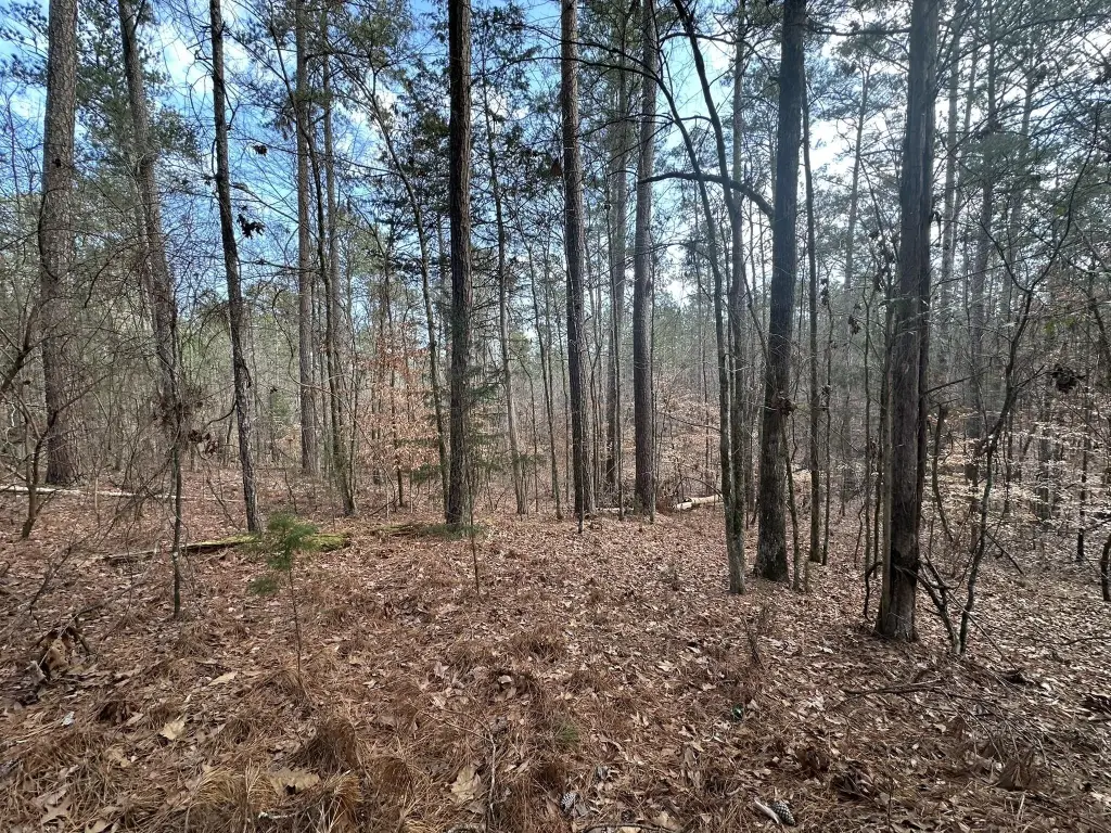 Picture 6
