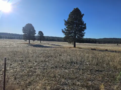 Beatty, OR Residential Lots