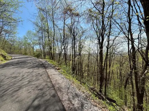 Mountain View Lot in Murphy