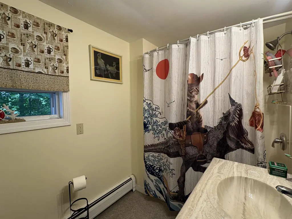 Picture 37