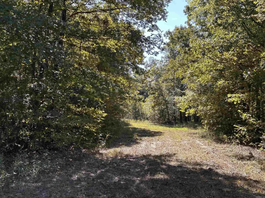 Picture 12