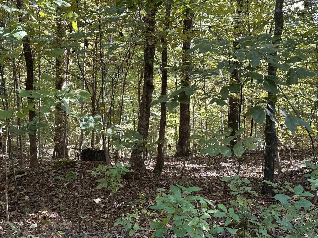 Picture 10