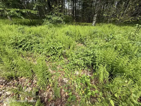 Blakeslee, PA Land Opportunity