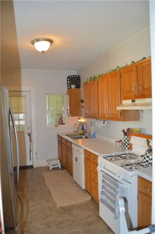 Picture 11