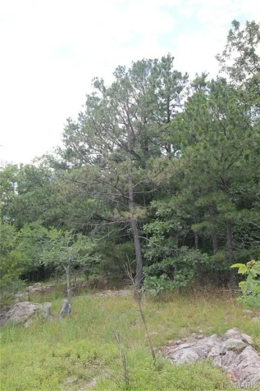 Picture 8
