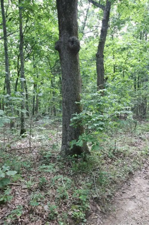 Picture 19