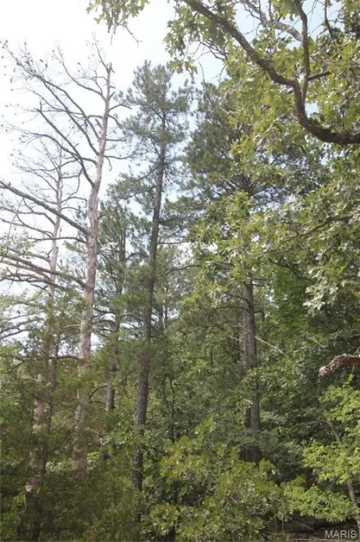 Picture 11