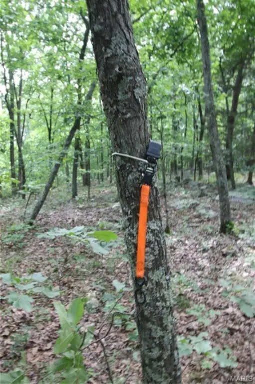 Picture 18