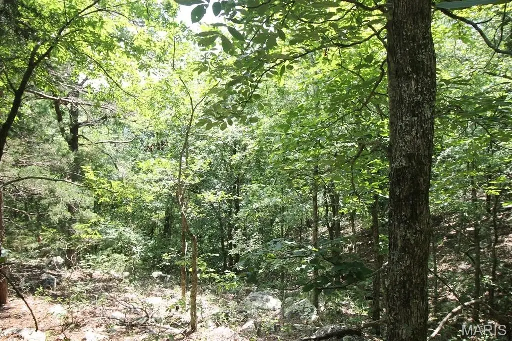 Picture 12