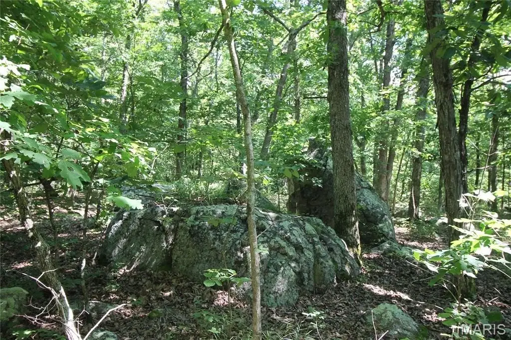 Picture 15