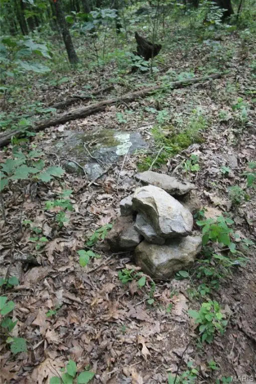 Picture 17