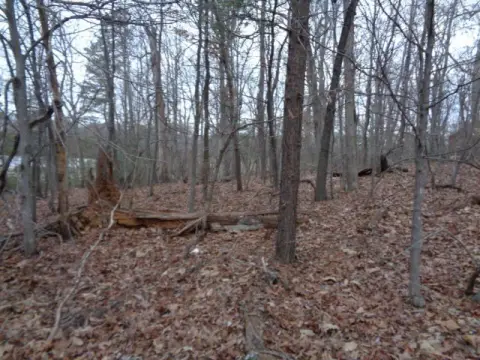 Land For Sale in Bassett