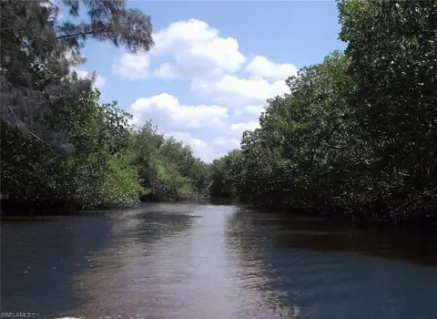 Waterfront Land in Everglades City