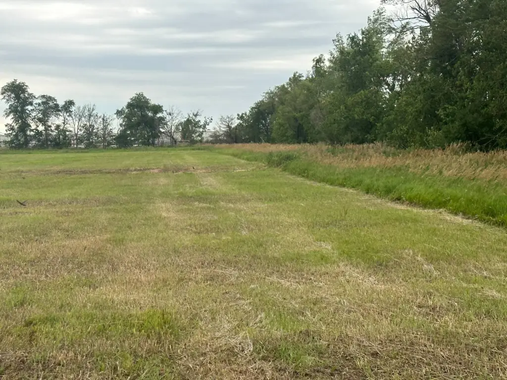 Picture 6