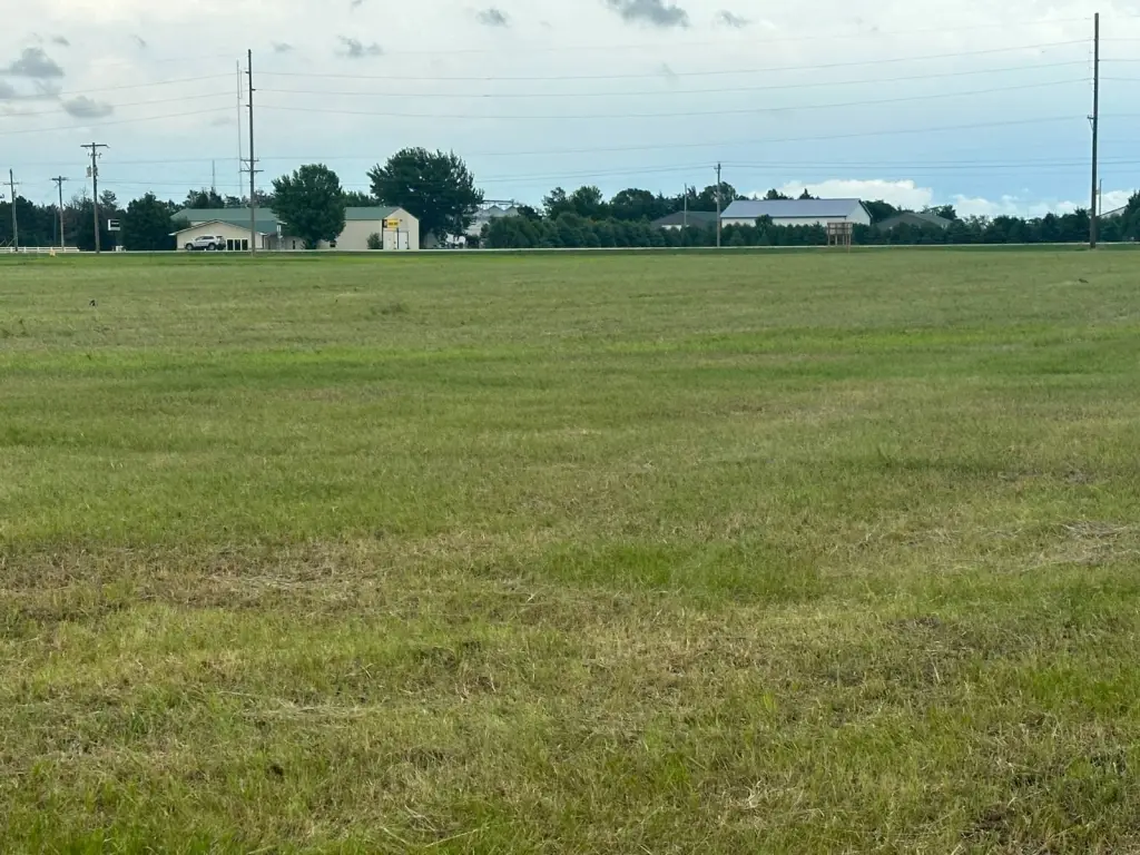 Picture 4