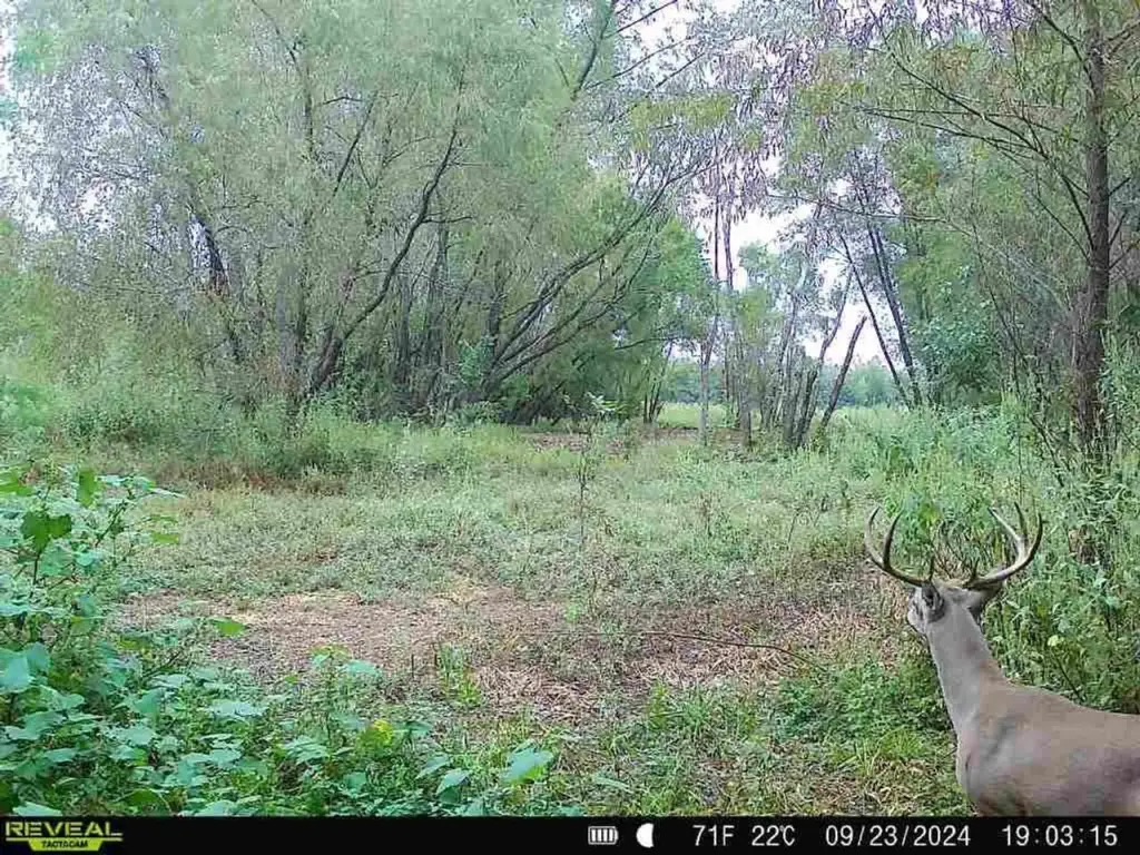 Picture 7