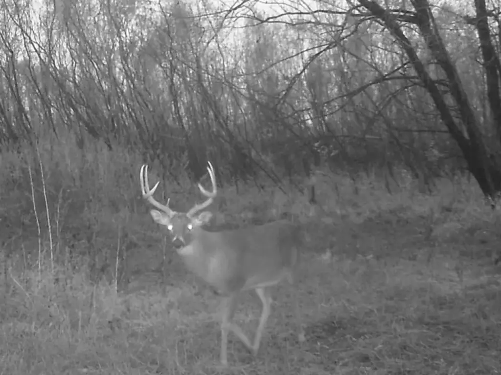 Picture 2