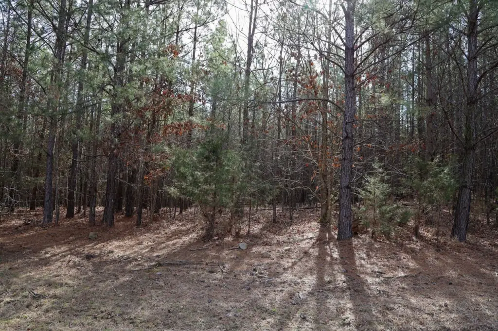 Picture 41