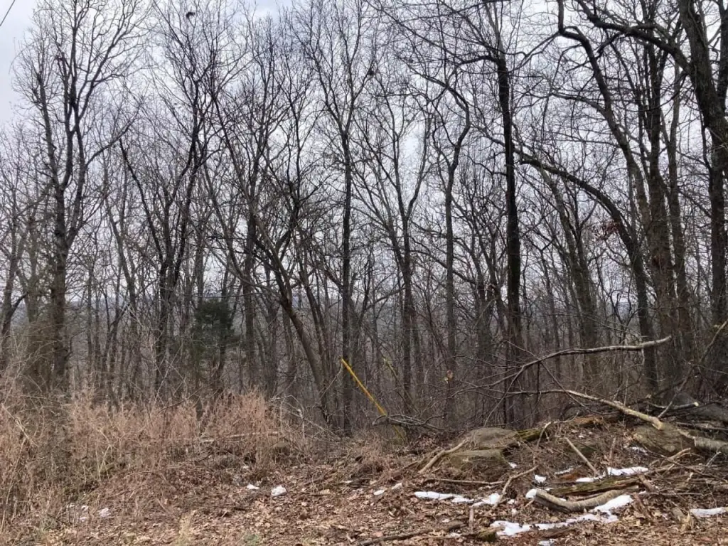 Picture 9
