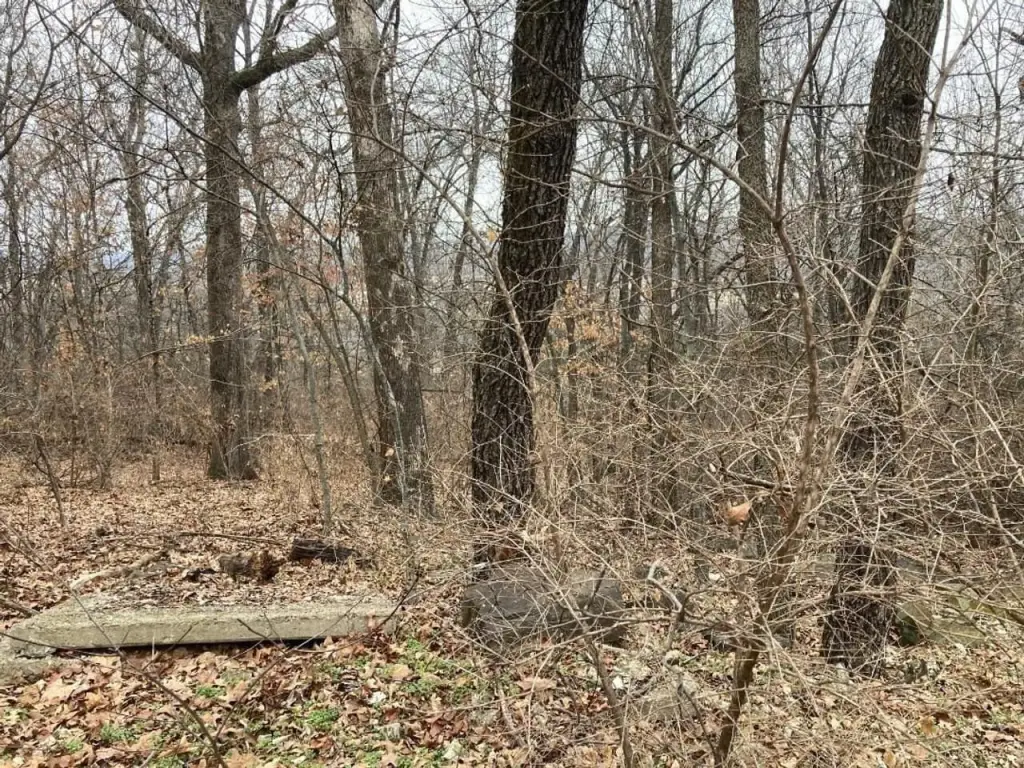 Picture 2