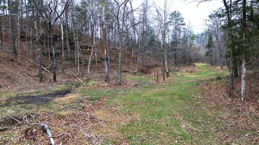 Picture 8