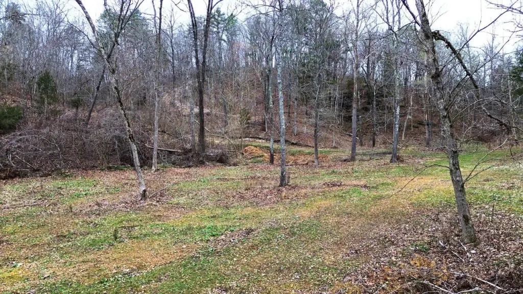 Picture 2