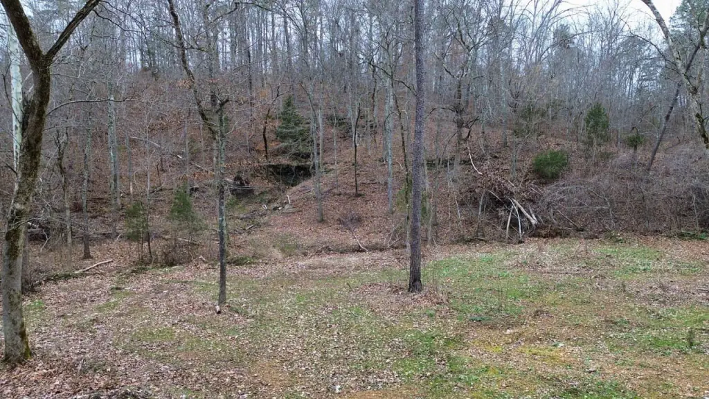 Picture 23