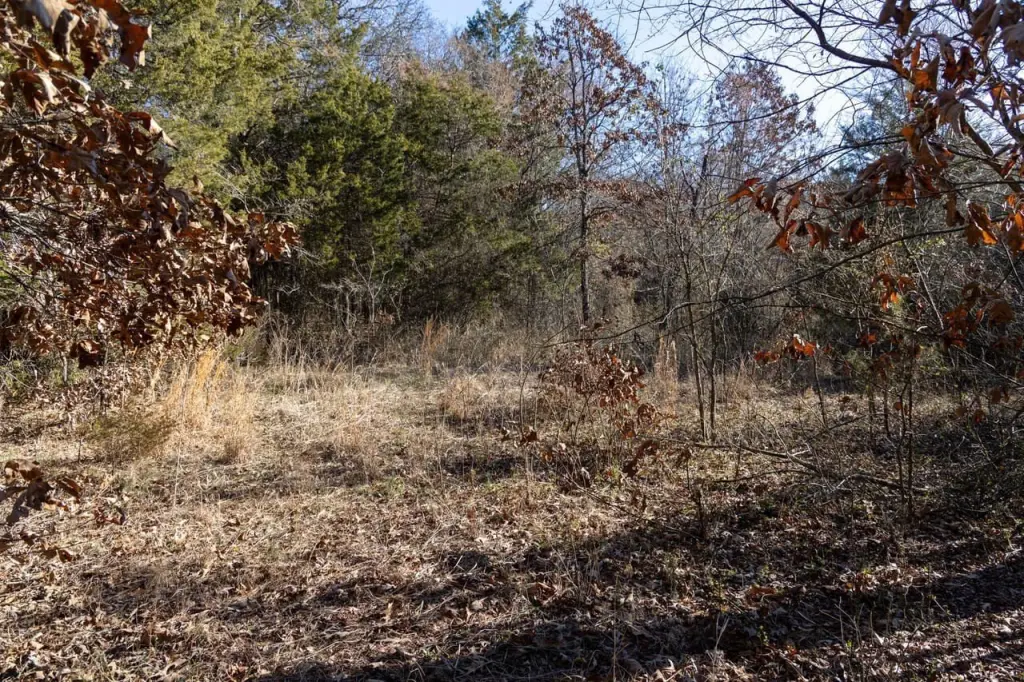 Picture 14