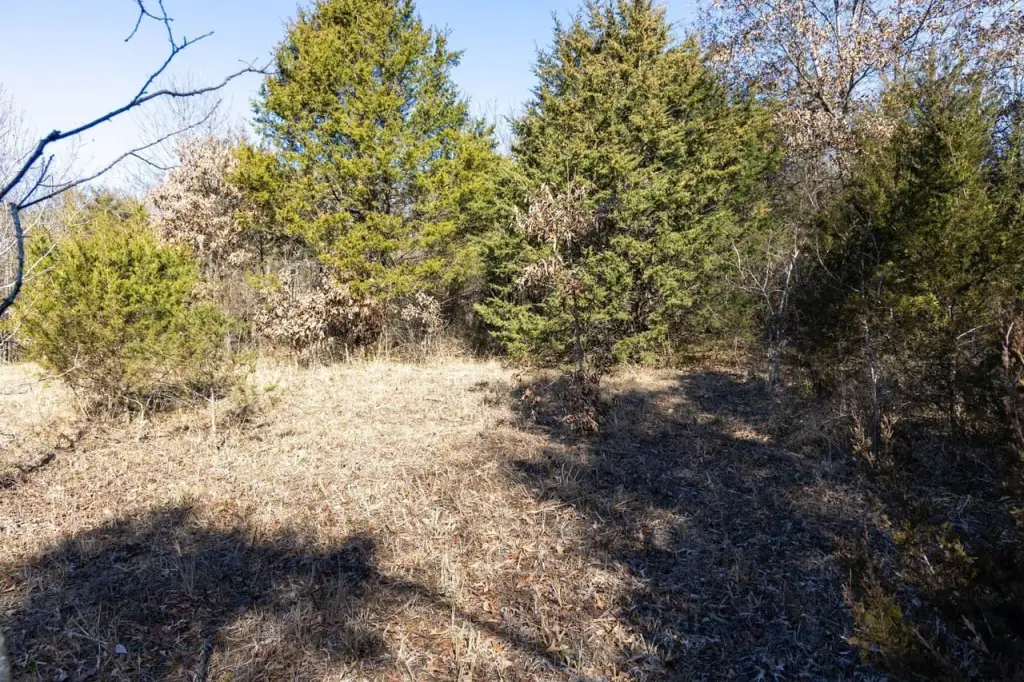 Picture 19