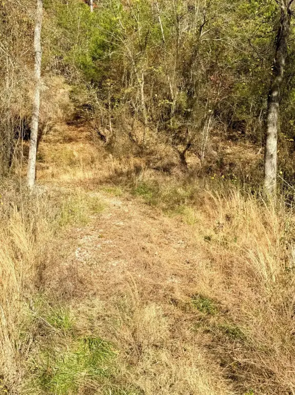Picture 17