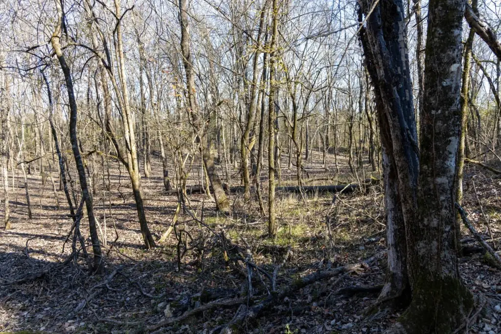 Picture 43