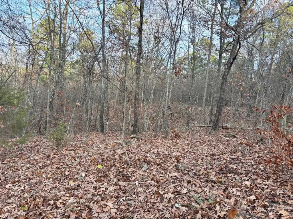 Picture 11