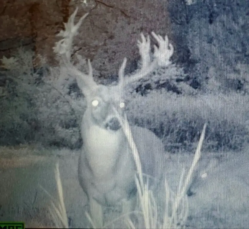 Picture 3