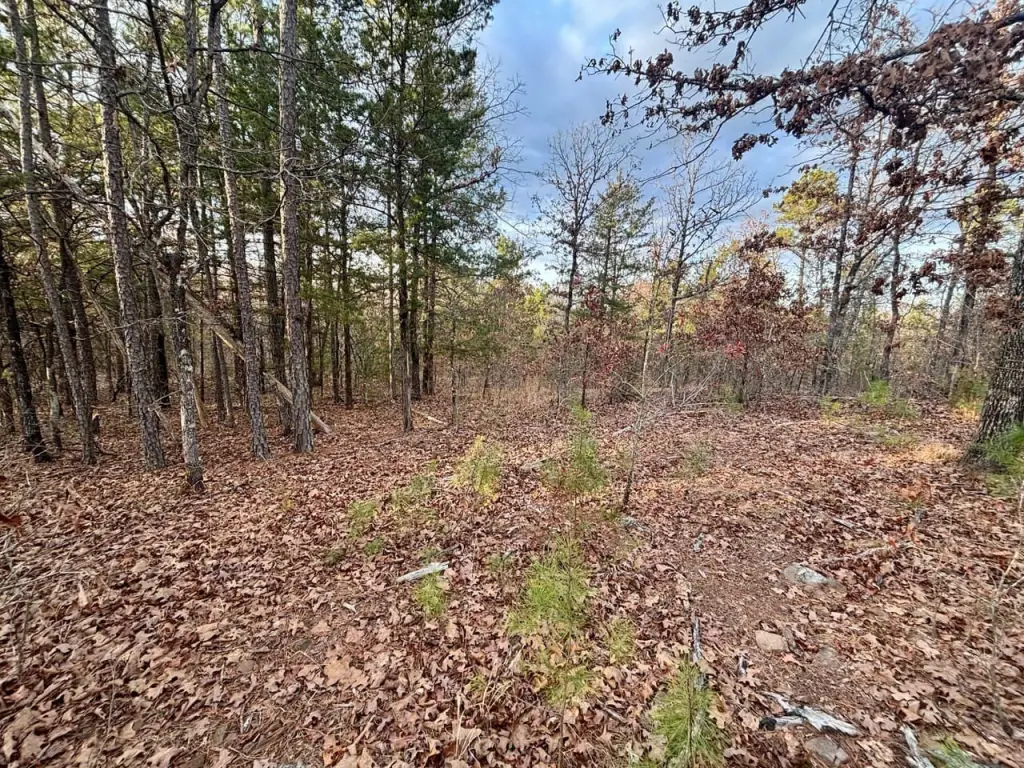 Picture 18
