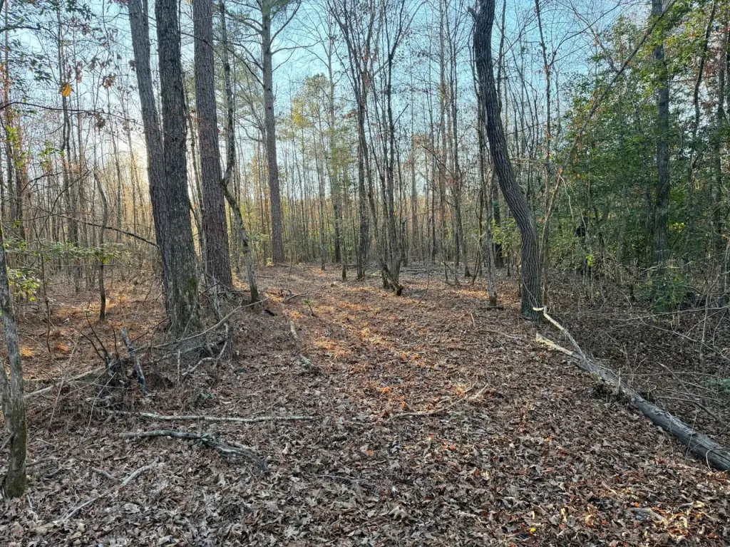 Picture 36