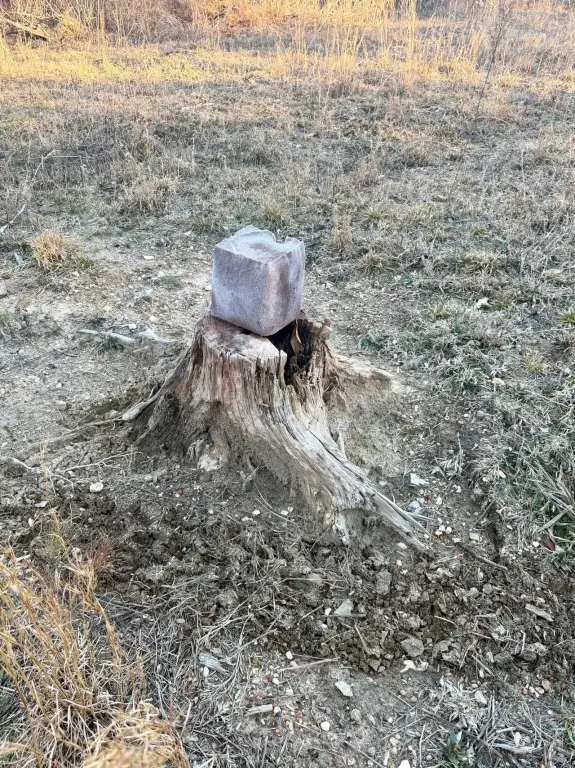 Picture 42