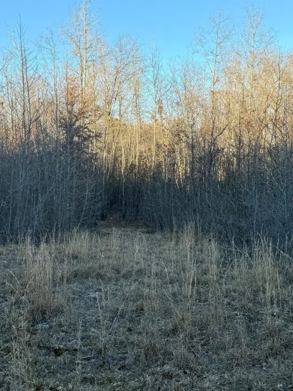 Picture 37