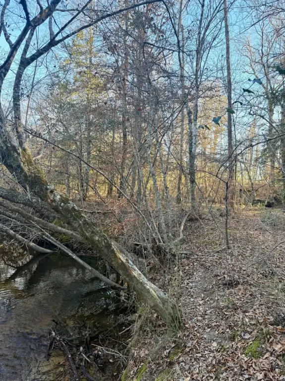 Picture 38