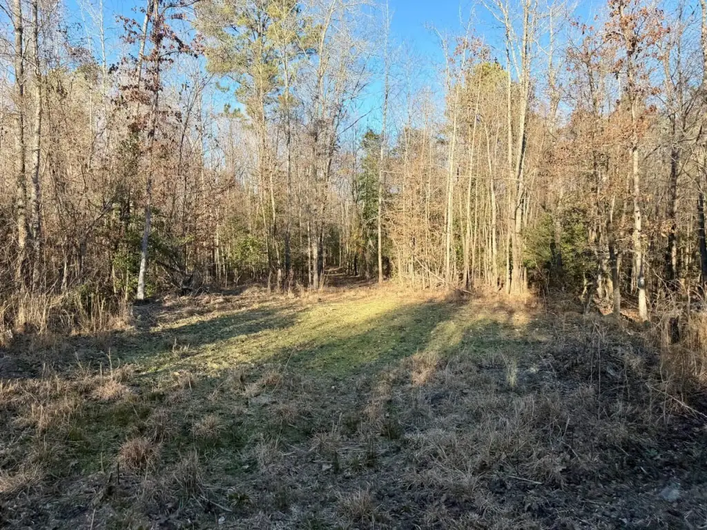 Picture 30