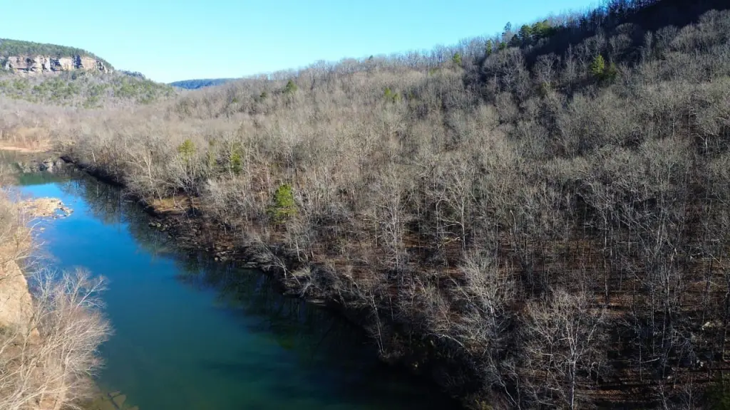 Picture 23