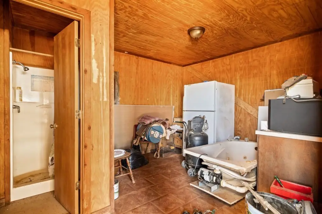 Picture 47
