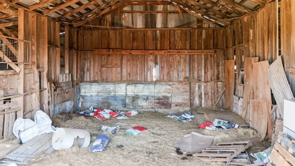 Picture 40