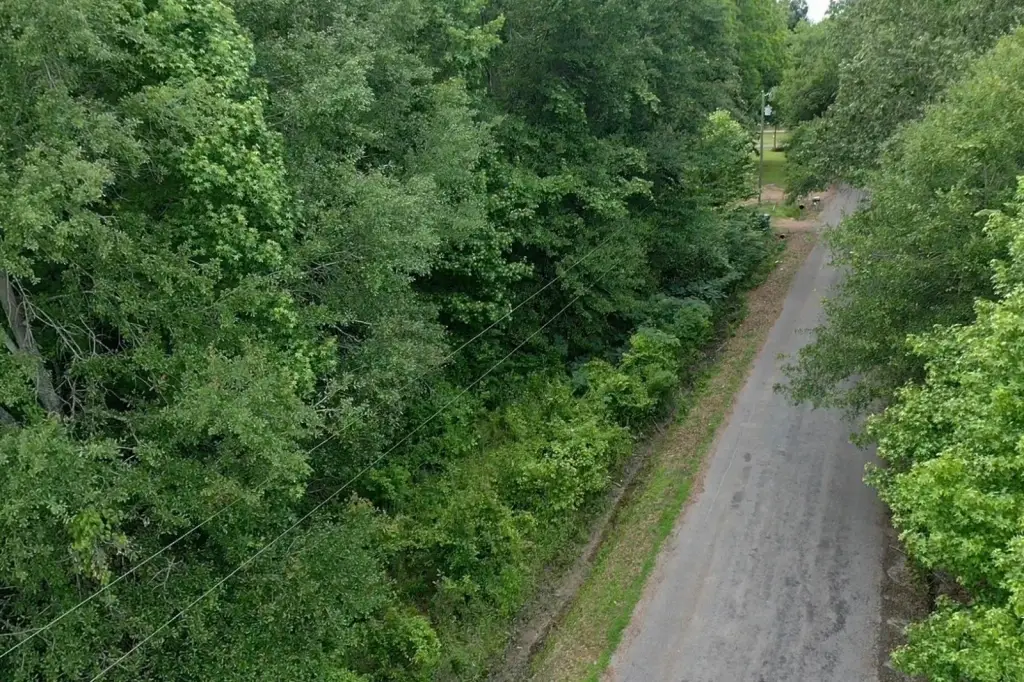 Picture 3