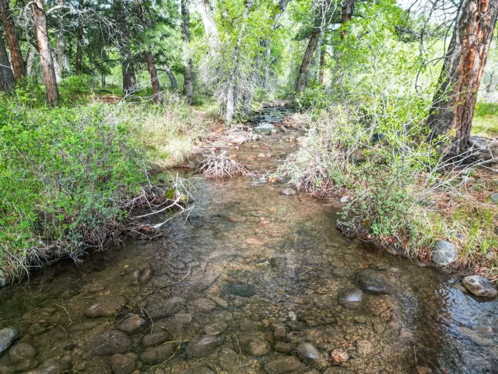 Picture 15