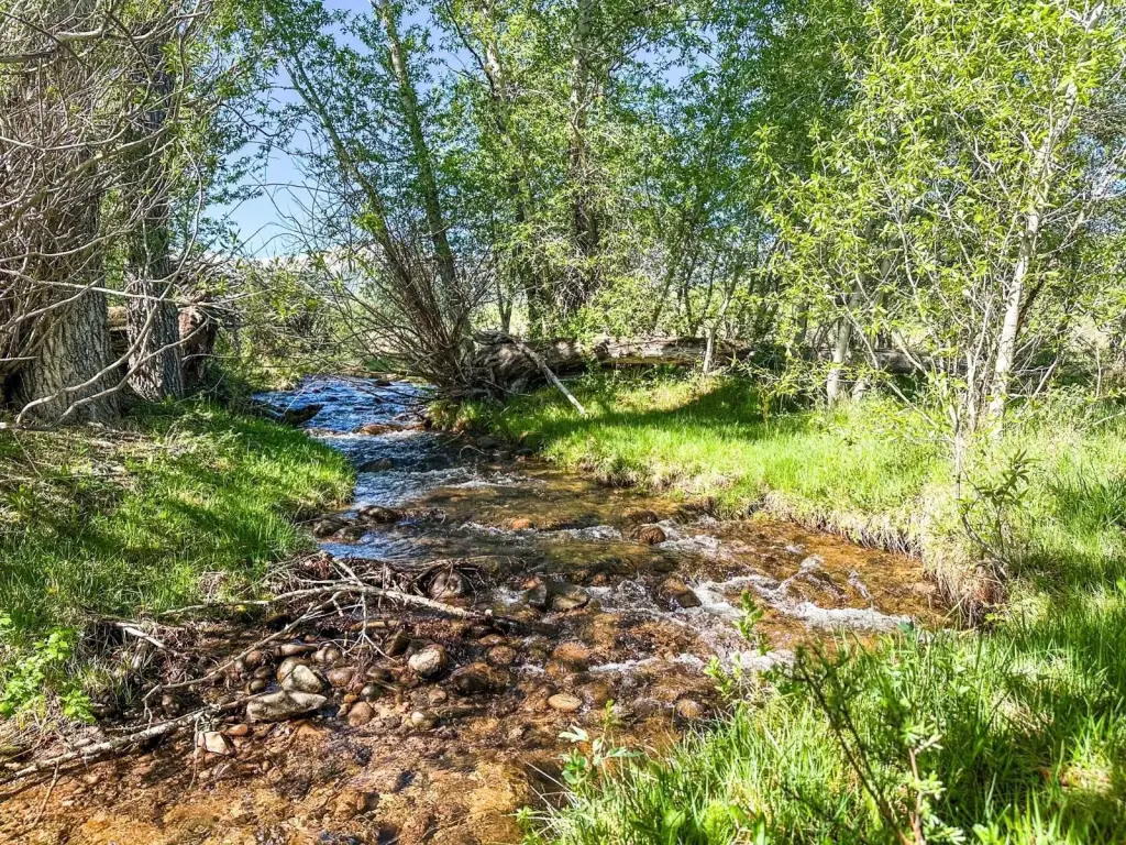 Picture 21